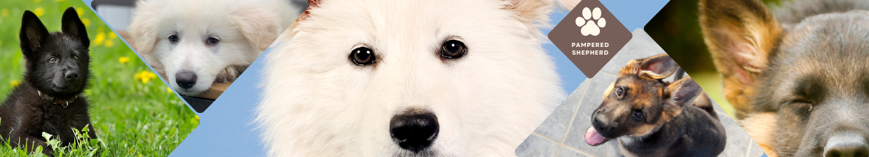 Pampered Shepherd Collage