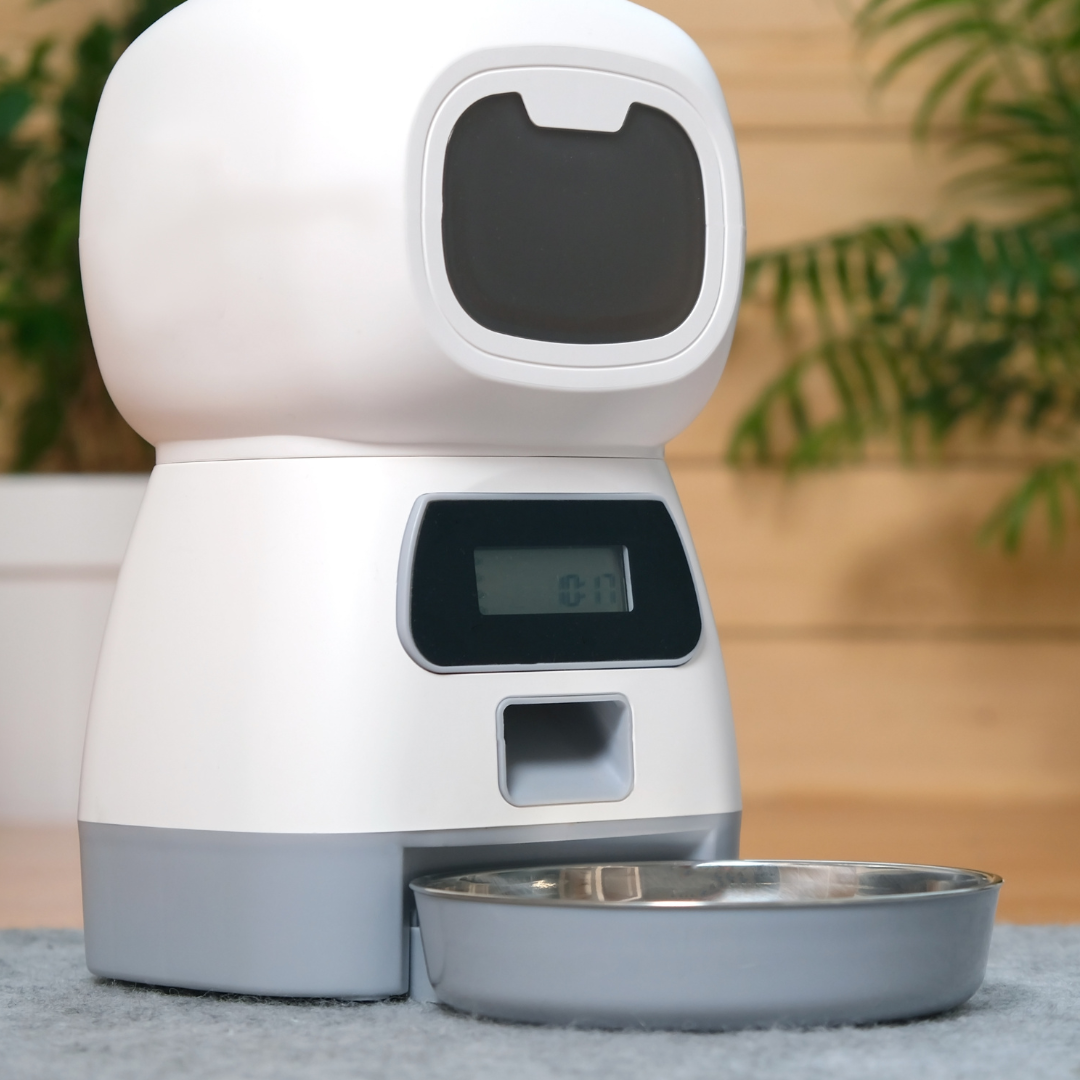 dog-feeder dog-feeder