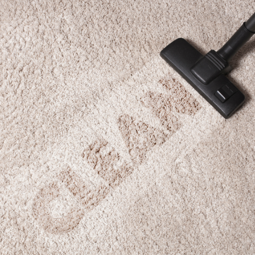 Choosing the Best Vacuum Cleaner for White German Shepherd Owners